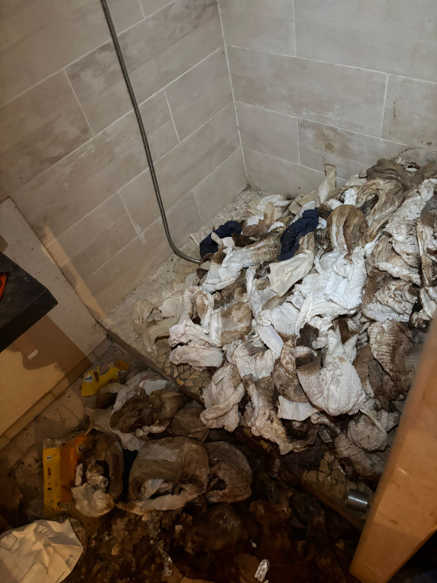 Nettoyage et relogement temporaire des animaux récupérés à Villejuif et ses environs IMG 20250901 WA0064