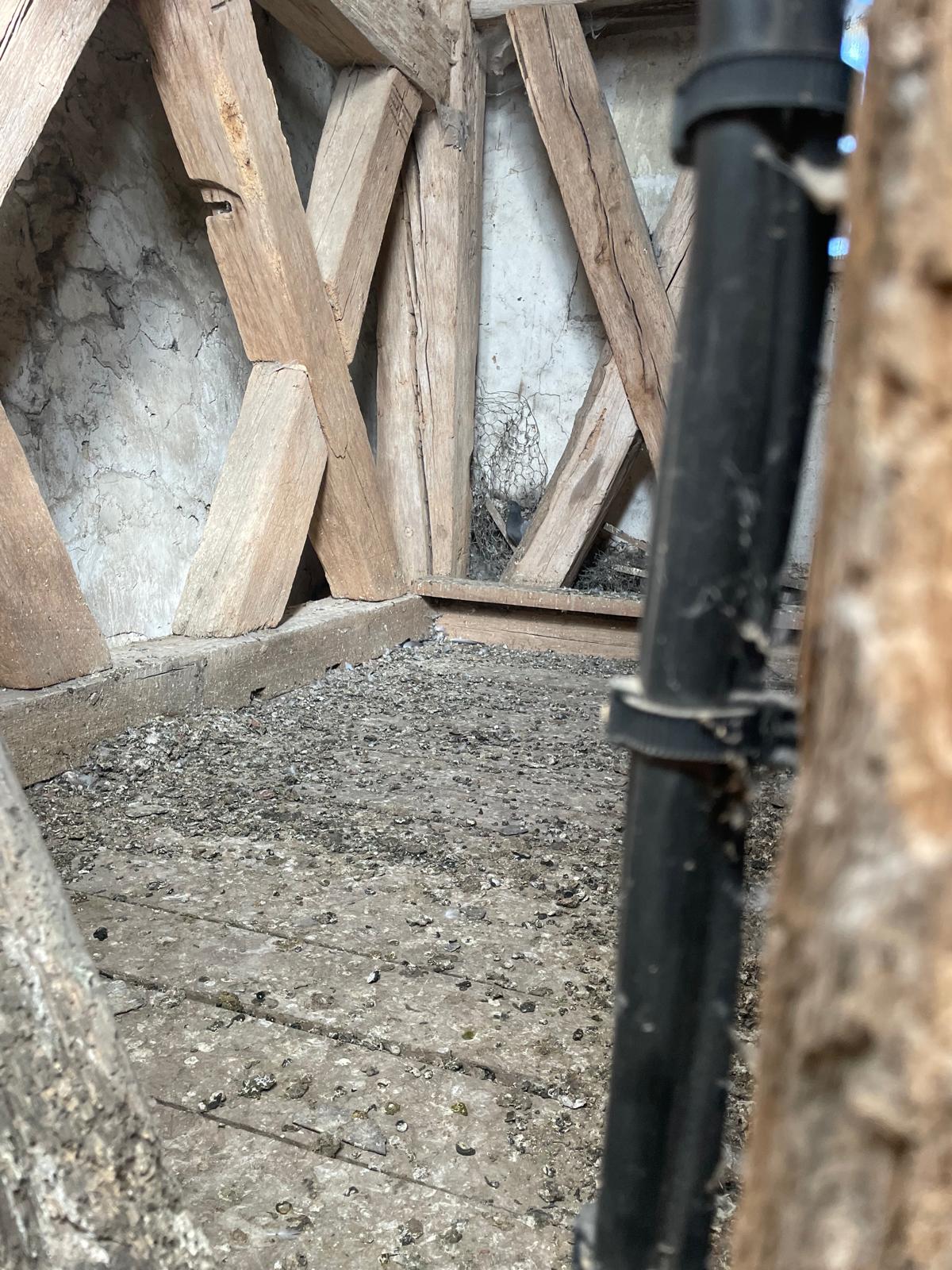 Peut-on regrouper plusieurs petites interventions extrêmes dans un même quartier ? IMG 20250919 WA0010