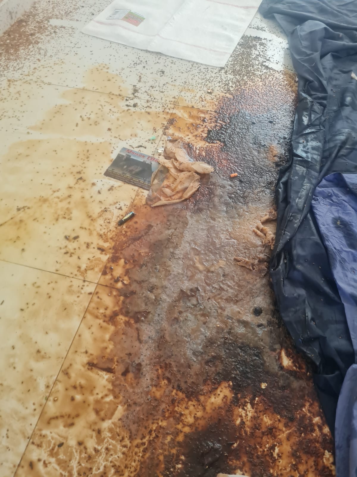 Nettoyage et désinfection contre la gale à Villejuif : doit-on prévoir de la signalétique « attention risque biologique » sur le palier ? WhatsApp Image 2025 04 18 A 17.15.45 1a9338eb